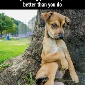 Meet your Posher, Aama